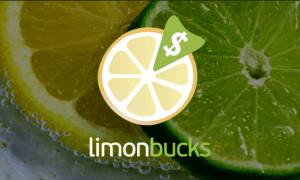 Обзор партнёрской программы LimonBucks.com