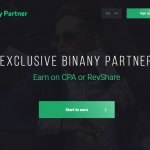 Binanypartner.com обзор партнерской программы